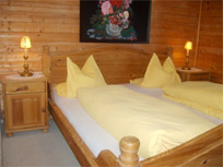 Appartement - Wilder Kaiser - Haus Kinzl - Ellmau