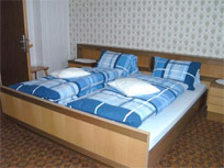 Appartement - Ferienwohnung - Erste Ferienregion Zillertal - Ferienwohnung Rohrmoser - Stummerberg