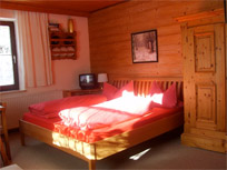 Appartement - Wilder Kaiser - Haus Kinzl - Ellmau