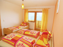 Ferienwohnung - Zell am Ziller - Appartement - Rohrberg - Ferienwohnung Oberlehen - Zillertal