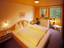 Ferienwohnungen Tirolerhof - Appartement Erpfendorf - Urlaub Kitzbüheler Alpen - Fewo St. Johann