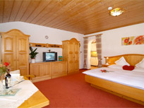 Appartement / Ferienwohnung - Tiroler Zugspitz Arena - Haus Waldesrand Ehrwald - Ehrwald