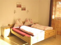 Appartement - Ferienwohnung - Mayrhofen - Hippach - Appart Fankhauser - Zillertal