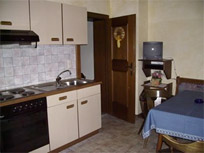 Appartement - Tux-Finkenberg - Haus Kreidl - Vorderlanersbach