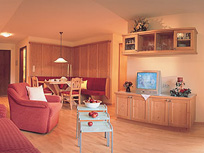 Appartementhaus Handl - Leutasch - Seefeld