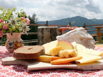 Bauernhof - Landhaus Schösser-Brandler - Mayrhofen - Zillertal