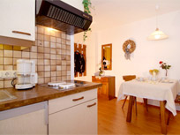 Appartement / Ferienwohnung - Tiroler Zugspitz Arena - Haus Waldesrand Ehrwald - Ehrwald