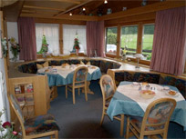 Pension - Appartement - Kitzbüheler Alpen - Brixental - Pension Tannenhof - Kirchberg - Skihotel