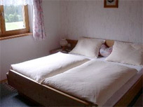 Appartement - Pillerseetal - Haus Brandtner - Ferienwohnung in Waidring