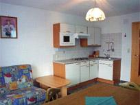 Appartement - Tiroler Oberland - Haus Almrausch - Fendels