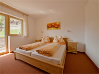 Ferienwohnung - Appartement - Mayrhofen - Hippach - Appartements Ahornblick - Zillertal