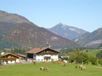 Bauernhof - Appartement - Kaiserwinkl - Bauernhof Ellmerer - Kössen