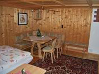 Appartement - Zillertal - Tux-Finkenberg - Ferienwohnung Sattler - Finkenberg