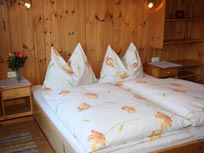 Appartement - Kitzbüheler Alpen - Brixental - Haus Rosenegg - Brixen im Thale