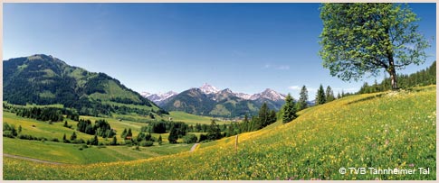 Sommerurlaub im Tannheimer Tal