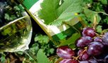 Sommer-Winter-Urlaub im Gourmethotel in Tirol Sommer-Winter-Urlaub im Gourmethotel in Tirol